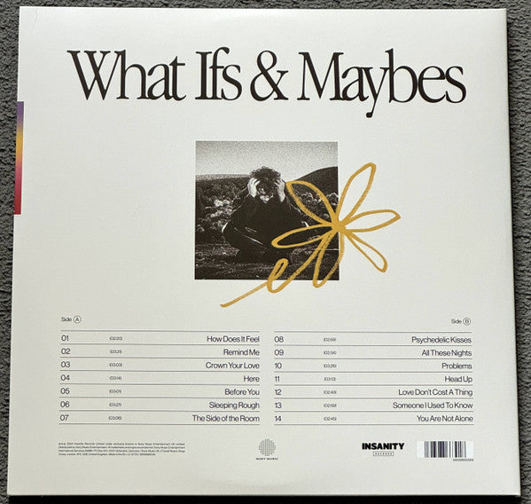 Tom Grennan - What Ifs & Maybes (LP)