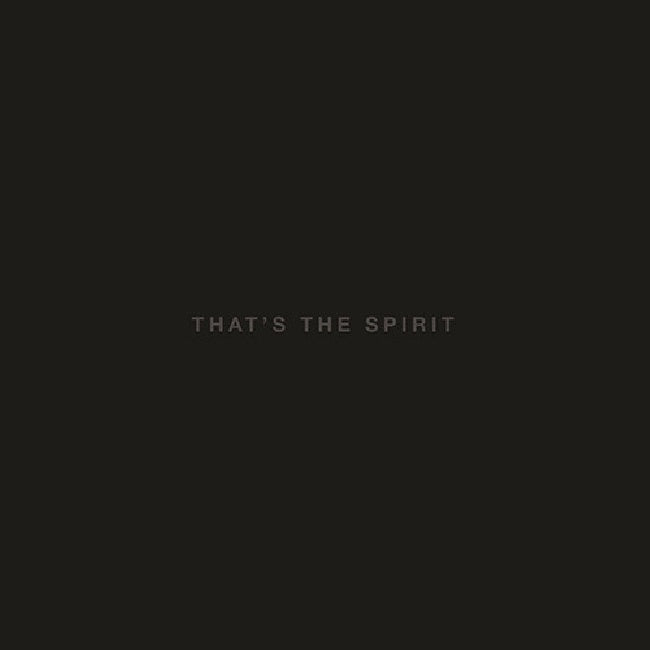 Bring Me The Horizon - That's the spirit (CD)