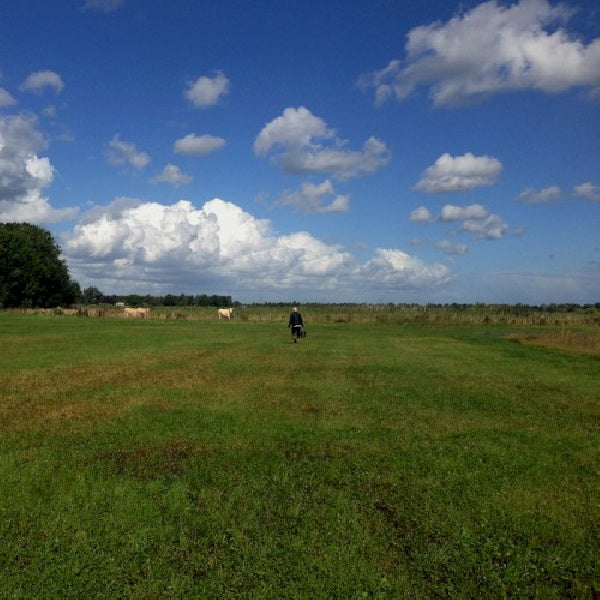 Biosphere - Hilvarenbeek recordings (CD)