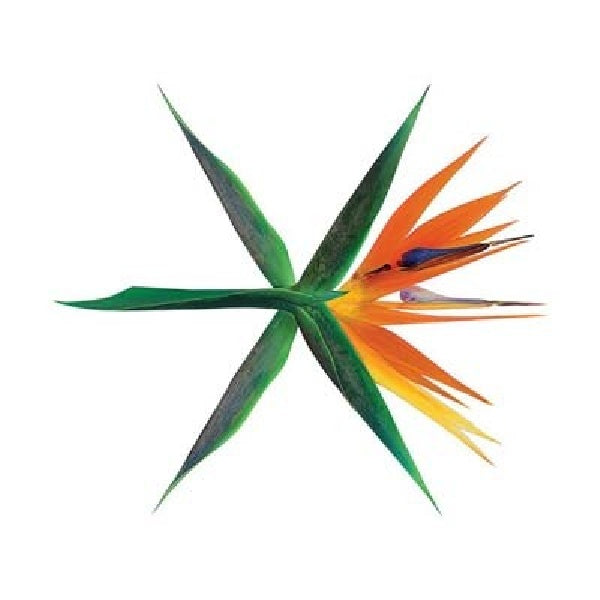 Exo - War (CD)
