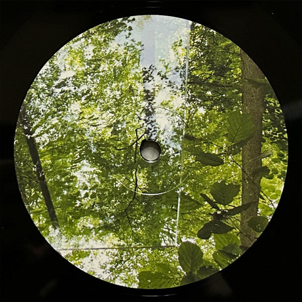 Pearlfishers - Sky Meadows (LP)