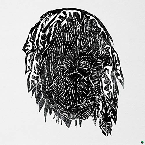 Alpha Steppa - Raise the ark (CD)