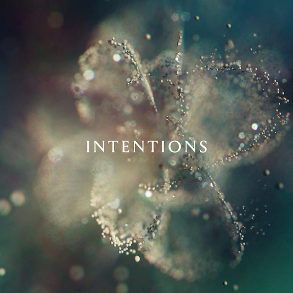 ANNA - Intentions (LP)