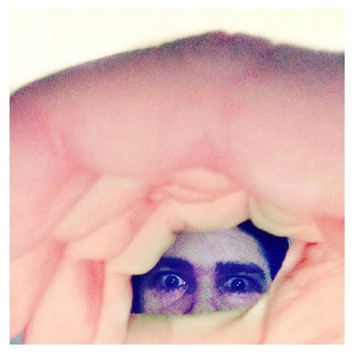 Ariel Pink - Odditties Sodomies Vol. 2 (LP)