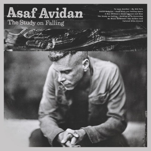 Asaf Avidan - Study on falling (CD)