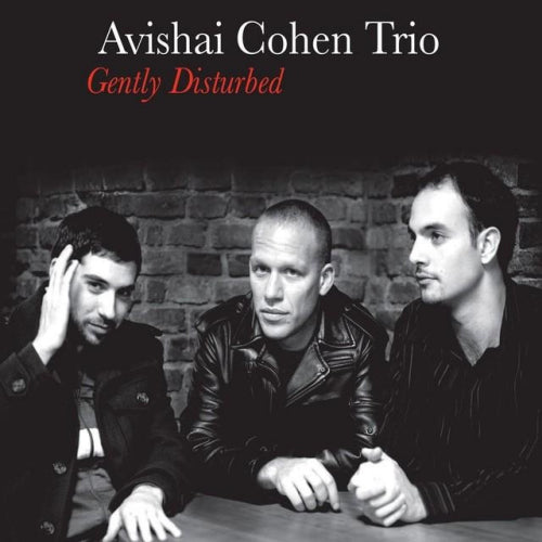 Avishai Cohen Trio - Gently disturbed (LP)