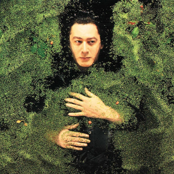 Alain Bashung - Fantasy Military (LP)