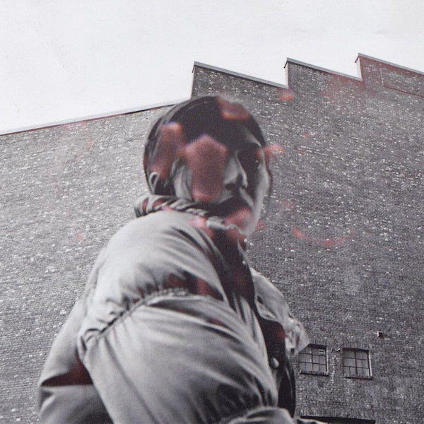 Aldous Harding - Warm chris (LP) - Velvet Music