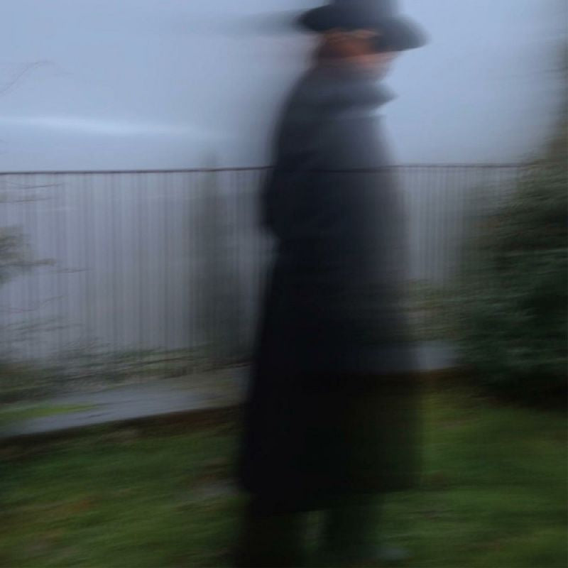 Alejandro Escovedo - Echo dancing (CD)