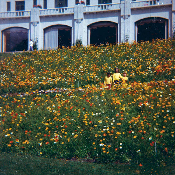 Altameda - Time hasn't changed you (LP)