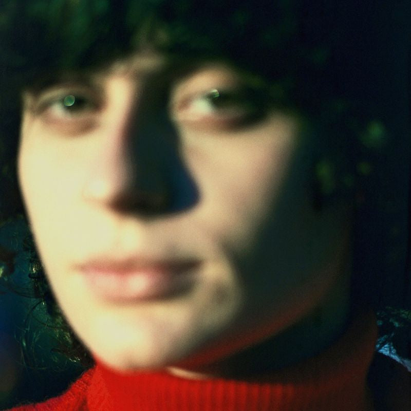 Ana Frango Eletrico - Little electric chicken heart (LP)