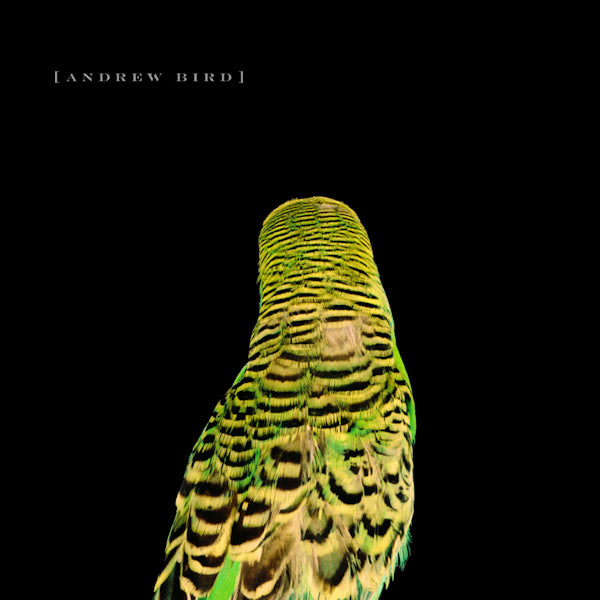 Andrew Bird - Armchair apocrypha (CD)