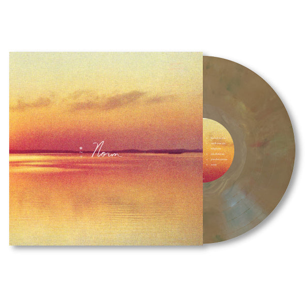 Andy Shauf - Norm (LP)