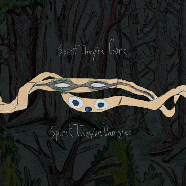 Animal Collective - Spirit they're gone, spirit they've vanished (LP) - Velvet Music