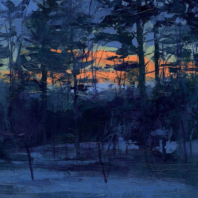 Animal Hospital - Shelf life (LP)