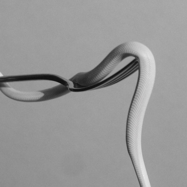 Animals As Leaders - Parrhesia (LP)