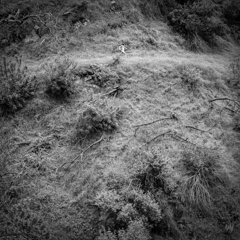 Anna Tivel - Animal poem (CD)