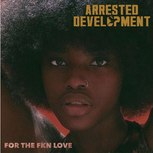 Arrested Development - For the FKN love (LP)