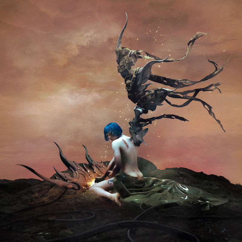 Ashnikko - Weedkiller (LP)