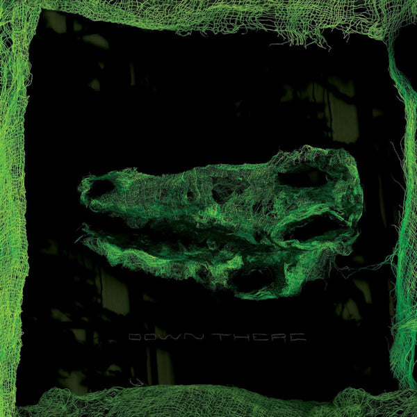 Avey Tare - Down there (CD)