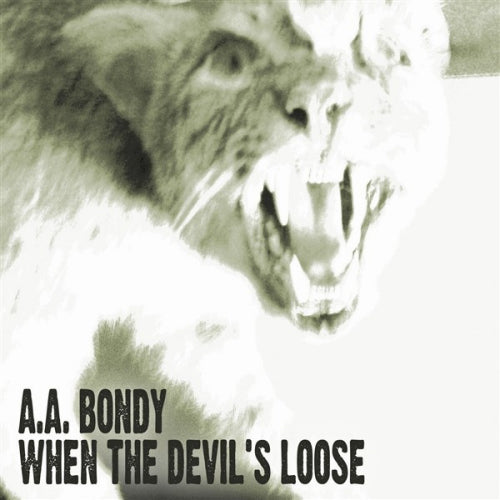 A.a. Bondy - When the devil's loose (CD)