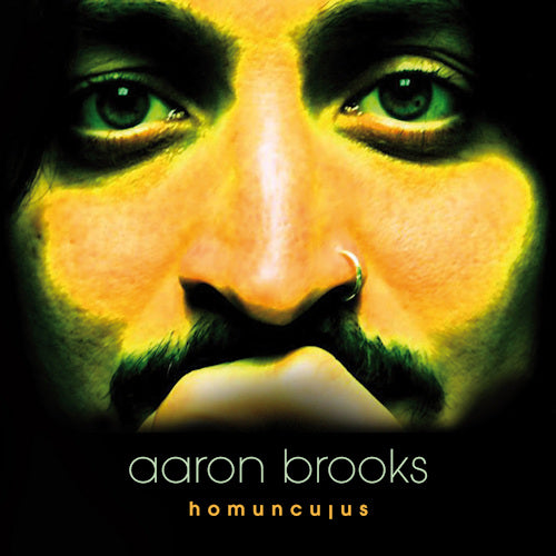 Aaron Brooks - Homunculus (LP)