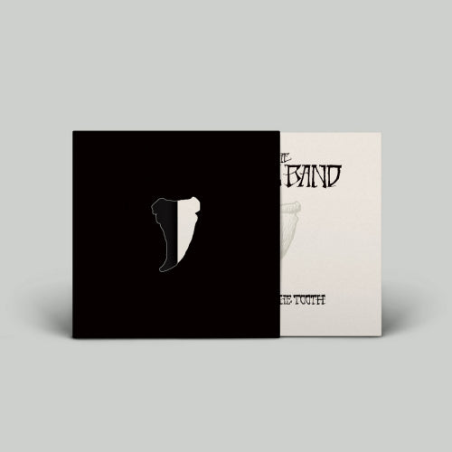 Budos Band - Long in the tooth (LP)