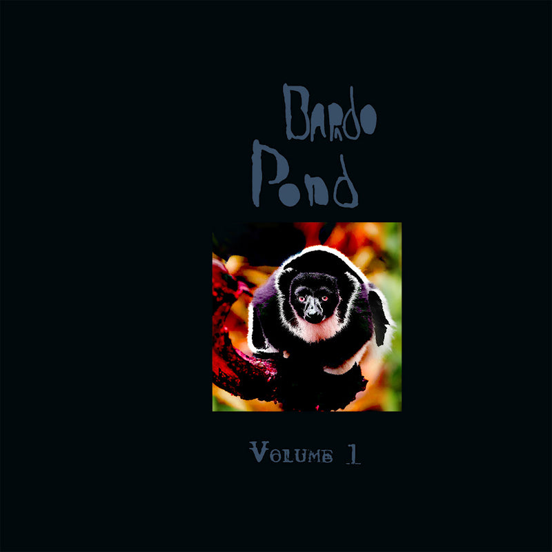 Bardo Pond - Volume 1 (LP)