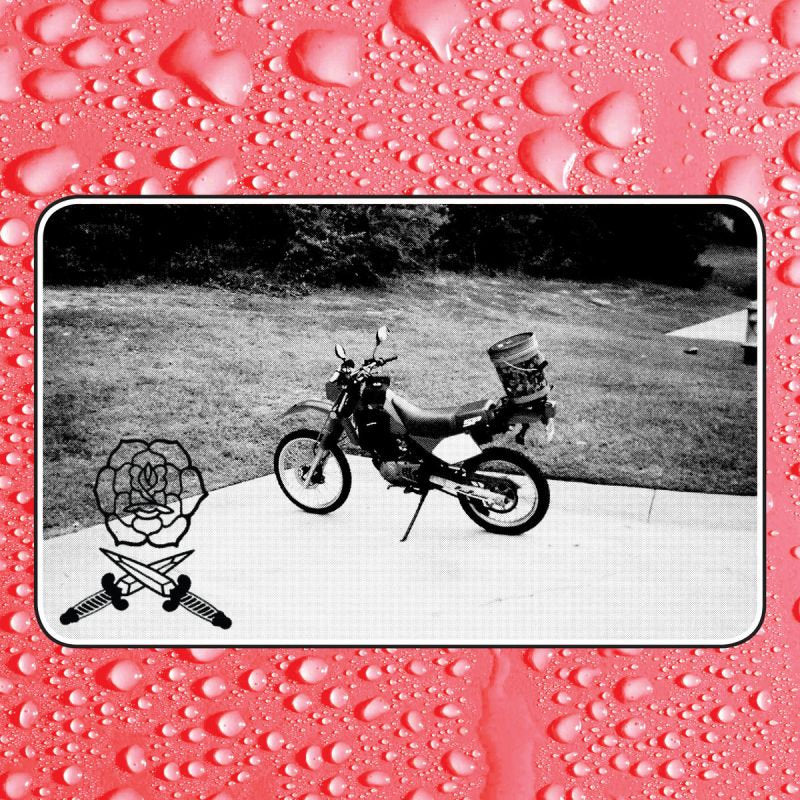 Bass Drum Of Death - Say i won't (CD)