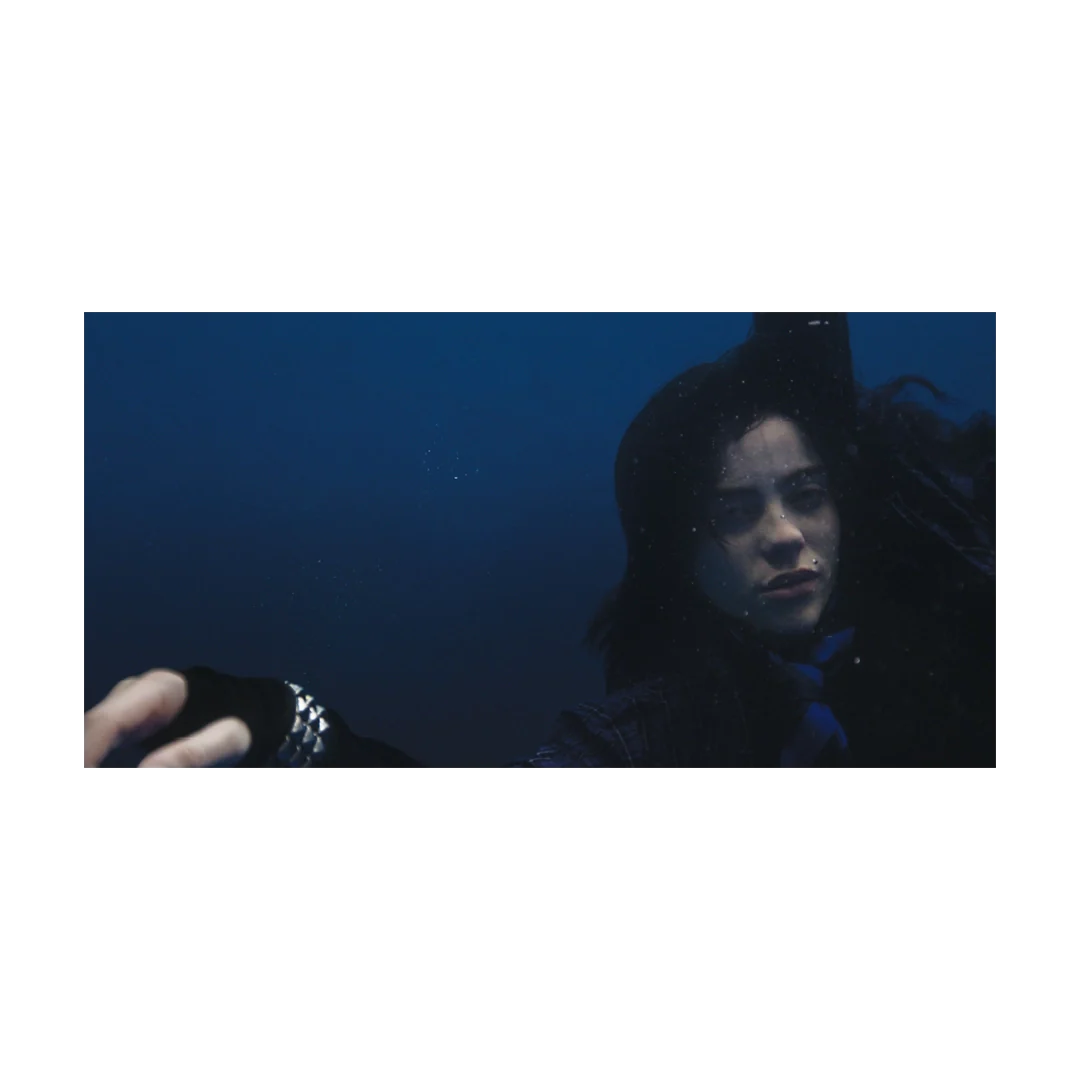 Billie EIlish - HIT ME HARD AND SOFT ANNIVERSARY EDITION VINYL (LP)