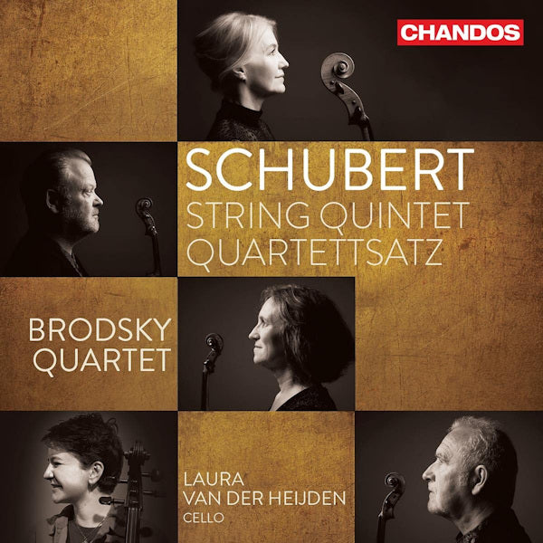 Brodsky Quartet / Laura Van Der Heijden - Schubert: String Quintet Quartettsatz (CD)