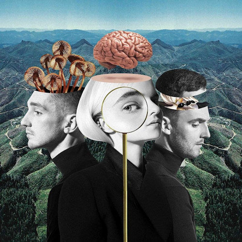 Clean Bandit - What is love? (CD)