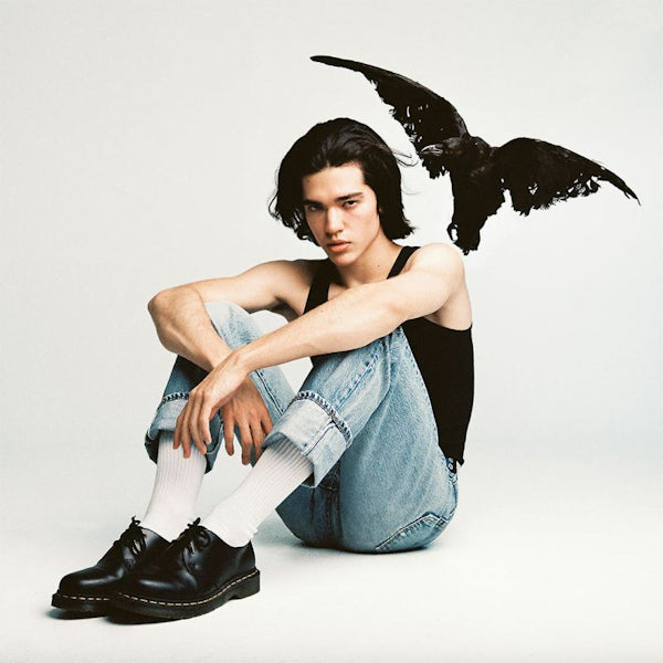 Conan Gray - Kid krow (LP)