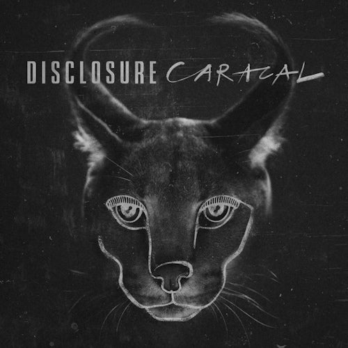 Disclosure - Caracal (CD)