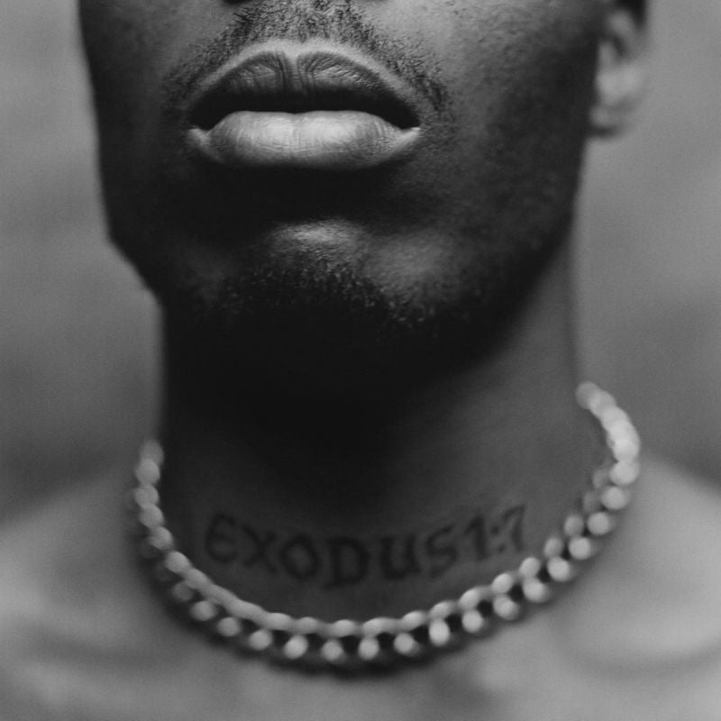 DMX - Exodus (LP)