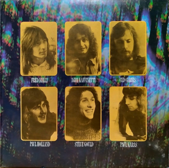 Rare Bird - Epic Forest (second hand LP)