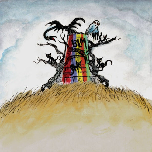 Drive-By Truckers - The new ok -coloured- (LP)