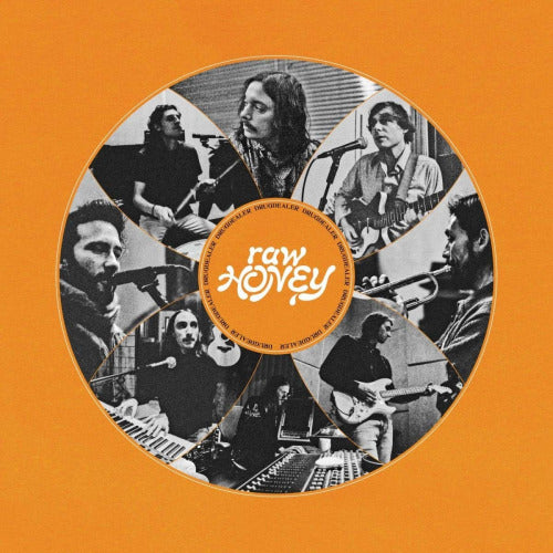 Drugdealer - Raw honey (CD)