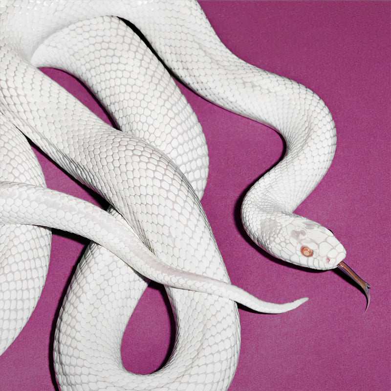 Deftones - Private music (CD)