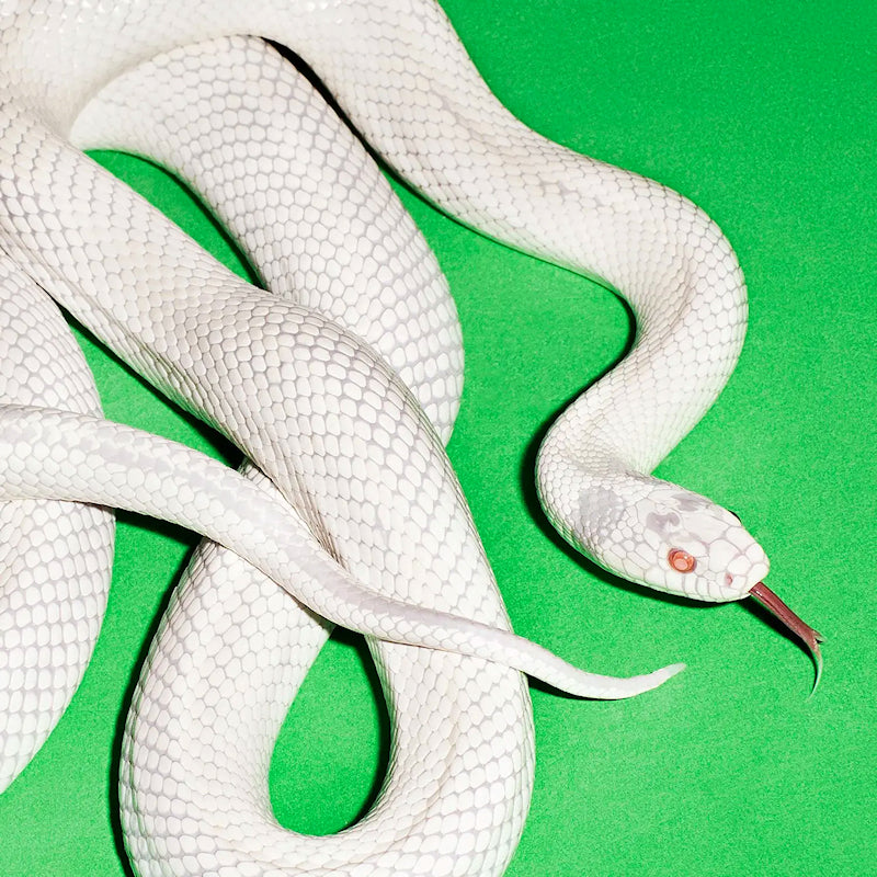 Deftones - Private music (CD)