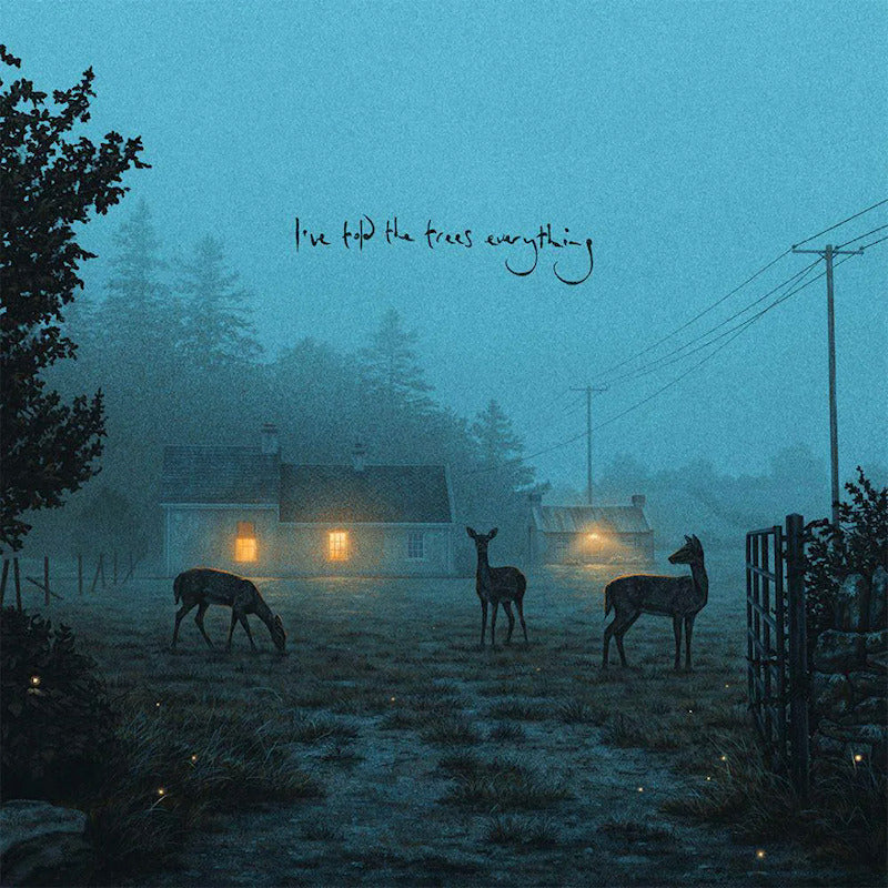 Dermot Kennedy - I've told the trees everything (12-inch maxi single)