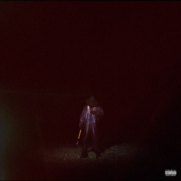 Destroy Lonely - If looks could kill (LP)