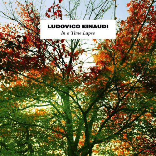 Ludovico Einaudi - In a time lapse (LP) - Velvet Music