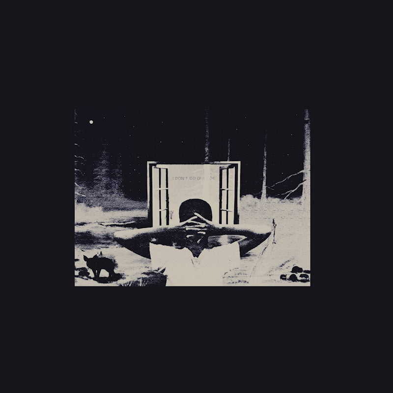 Earl Sweatshirt - I Don't Like Shit, I Don't Go Outside: An Album By Earl Sweatshirt (LP)