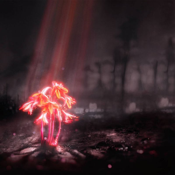 Enter Shikari - A kiss for the whole world (CD)