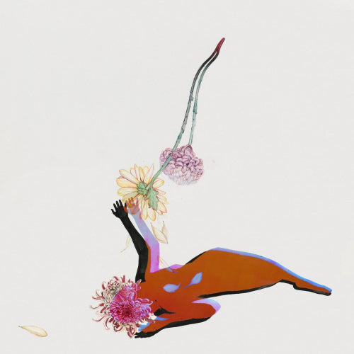 Future Islands - Far field (LP)