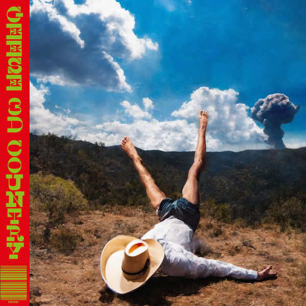 Geese - 3d country (LP)