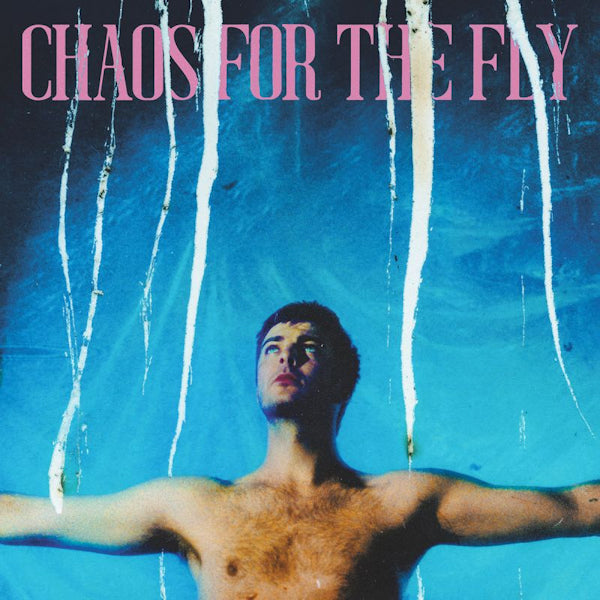 Grian Chatten - Chaos for the fly (LP)