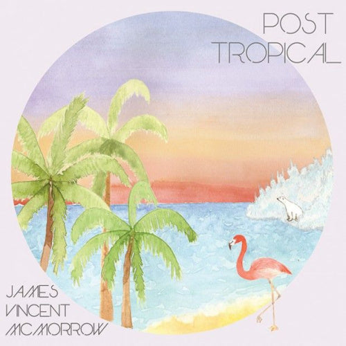 James Vincent Mcmorrow - Post tropical (LP)