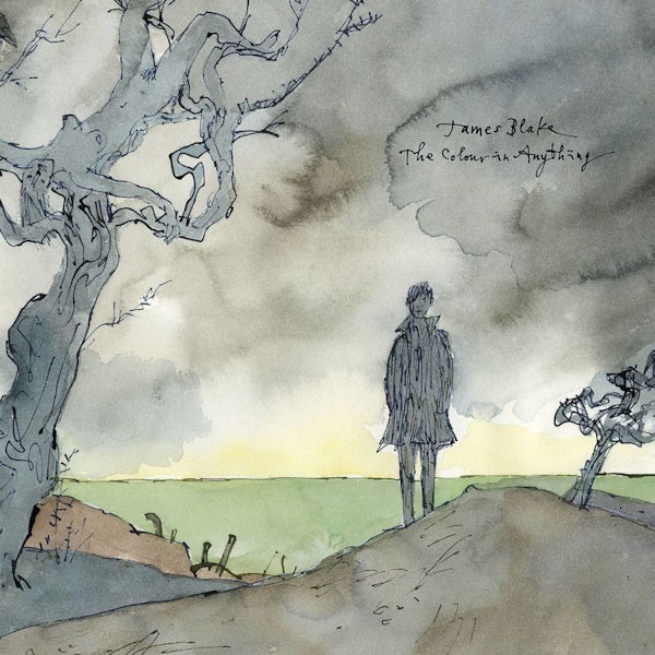 James Blake - The color in anything (LP)